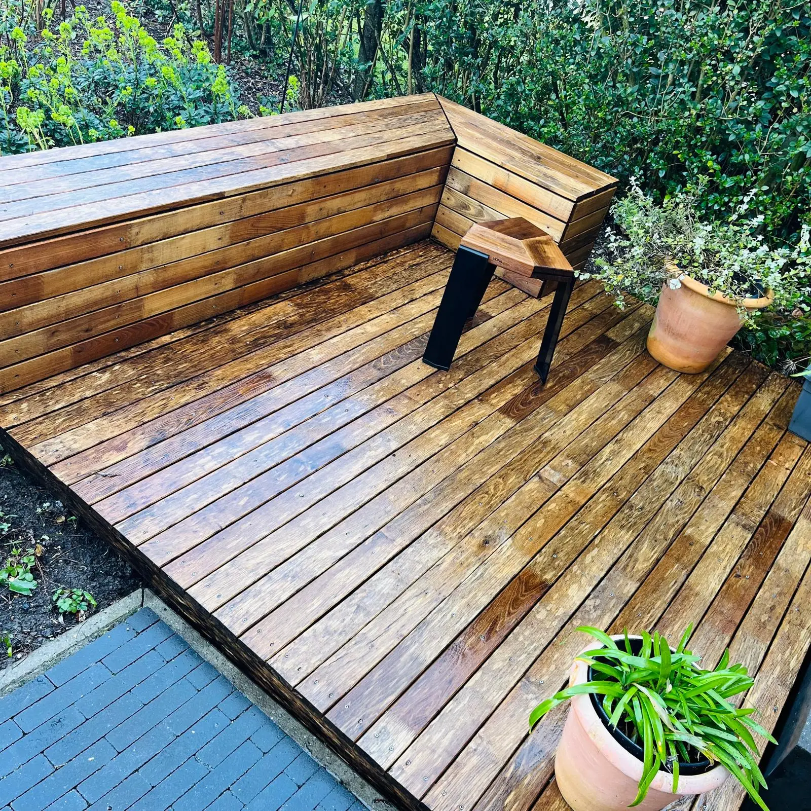 WhatsApp Image 2026 02 13 at 10.29.37 AM